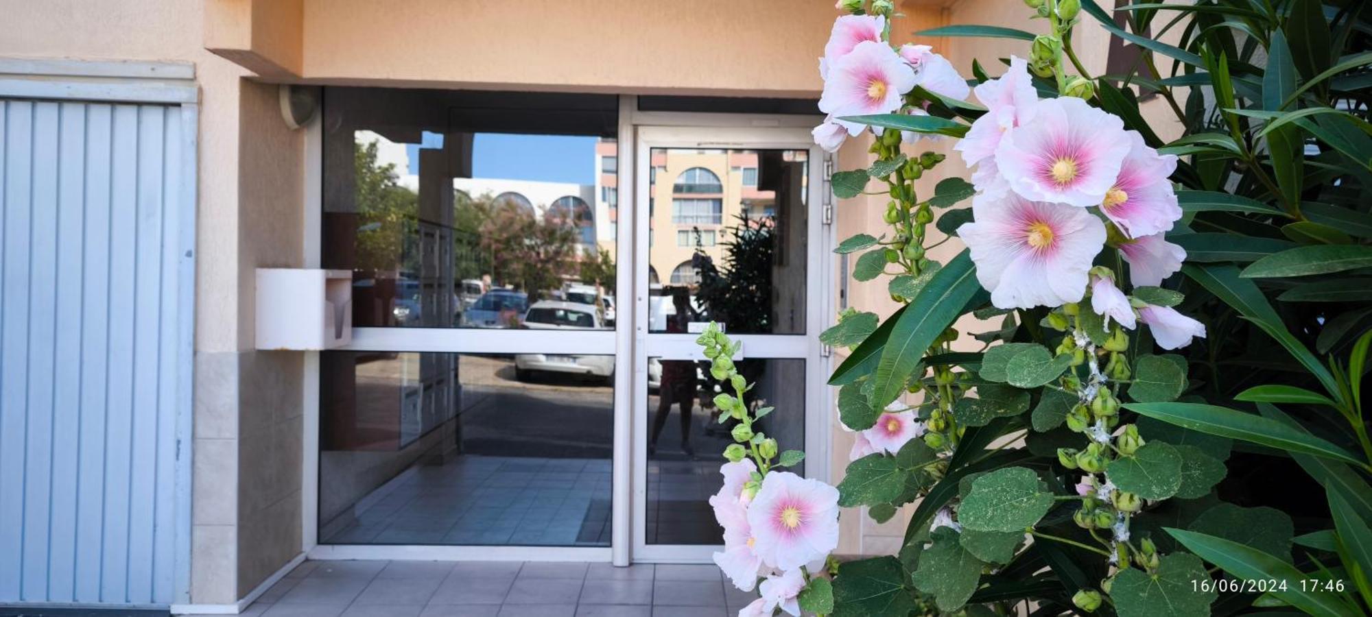 La Perle Marine, Cosy Et Renove, 200 M De La Plage, 1 Chambre, Parking Et Wifi Sète Kültér fotó